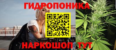 СК Гусев