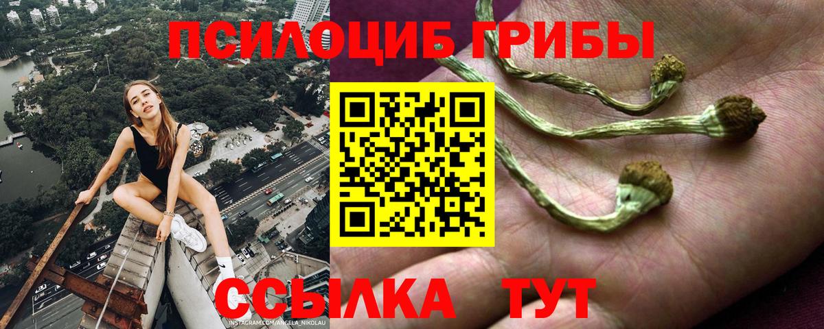 Галлюциногенные грибы MAGIC MUSHROOMS  Вход с VPN  Минусинск 