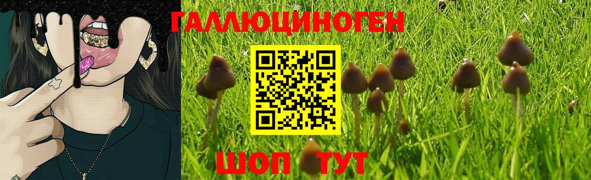 Псилоцибиновые грибы GOLDEN TEACHER Минусинск
